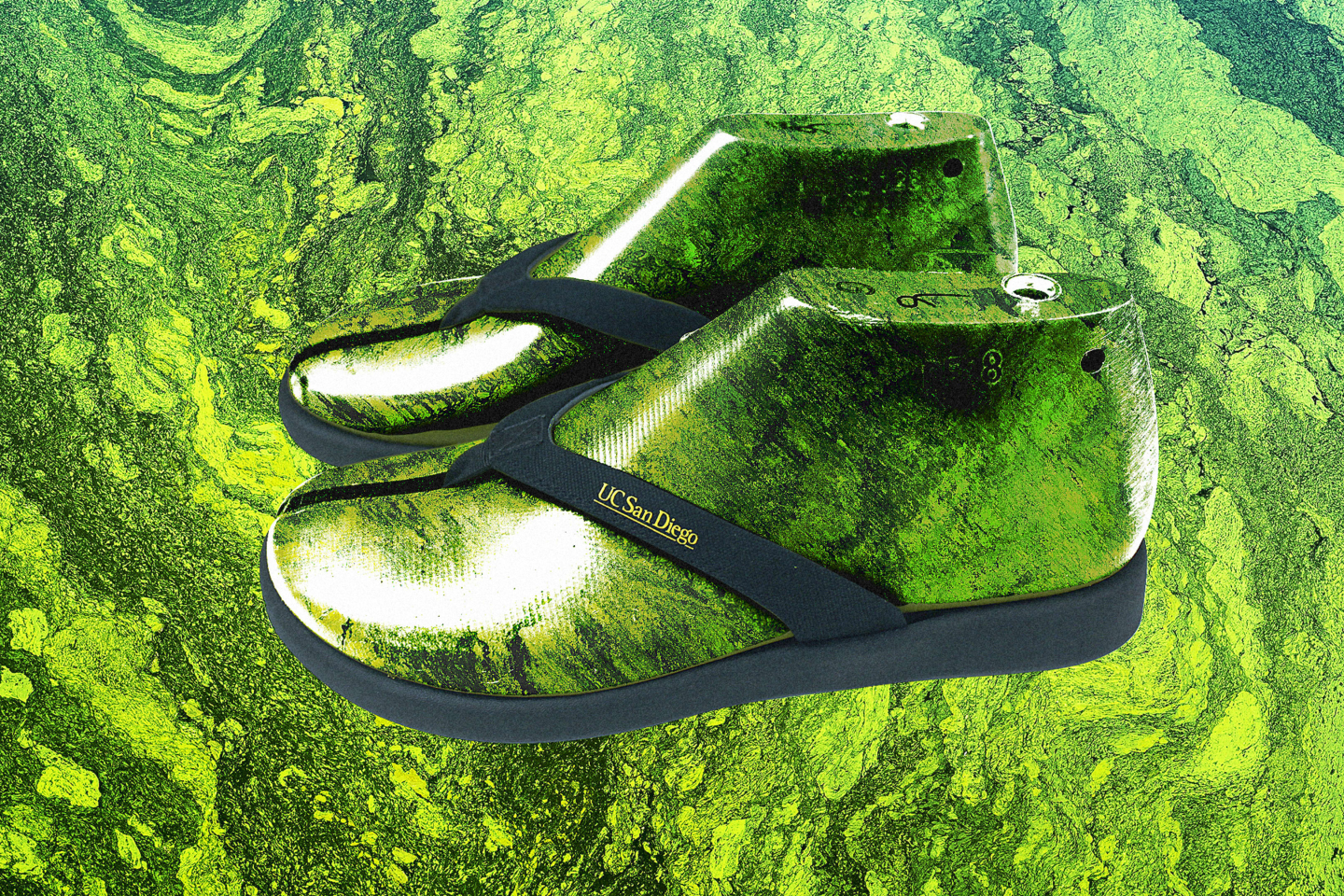 Algae-based flip-flops featured in Fast Company’s Algenesis coverage
